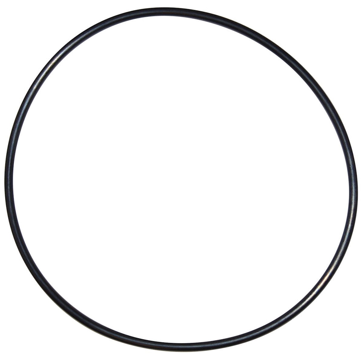 Seal Plate O Ring for Pentair Pumps | Pentair | U9-228AZ | EPDM