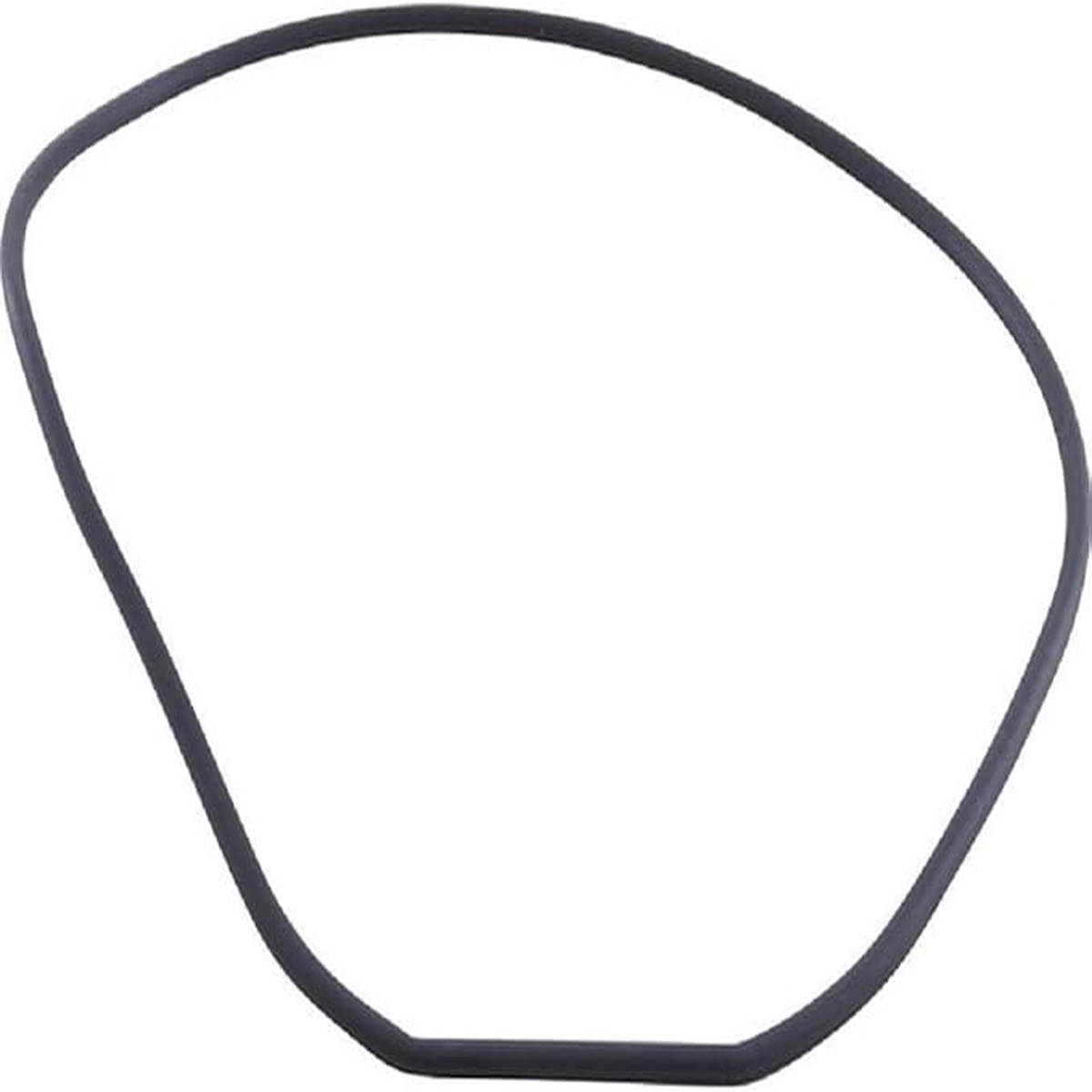 SVL Faceplate Gasket | 711-4290