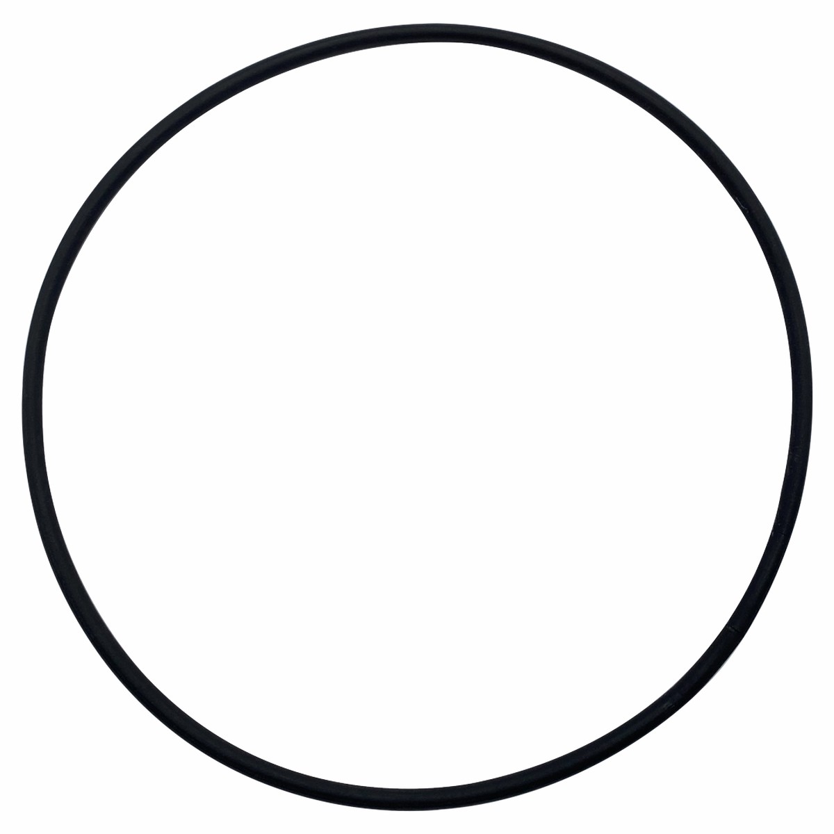 Swimrite (70-828-827) Large O-Ring | O-212-BAGGED
