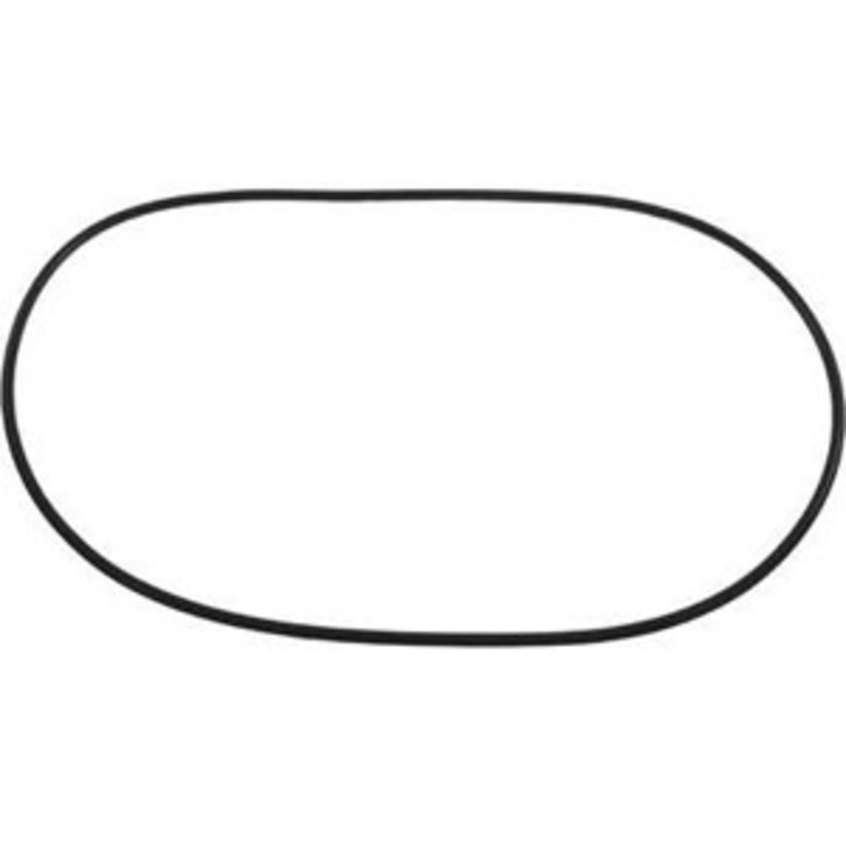 Waterway Clearwater II Lid O Ring | Waterway | 805-0460 | (Fits Clearwater II Lid Assemblies)