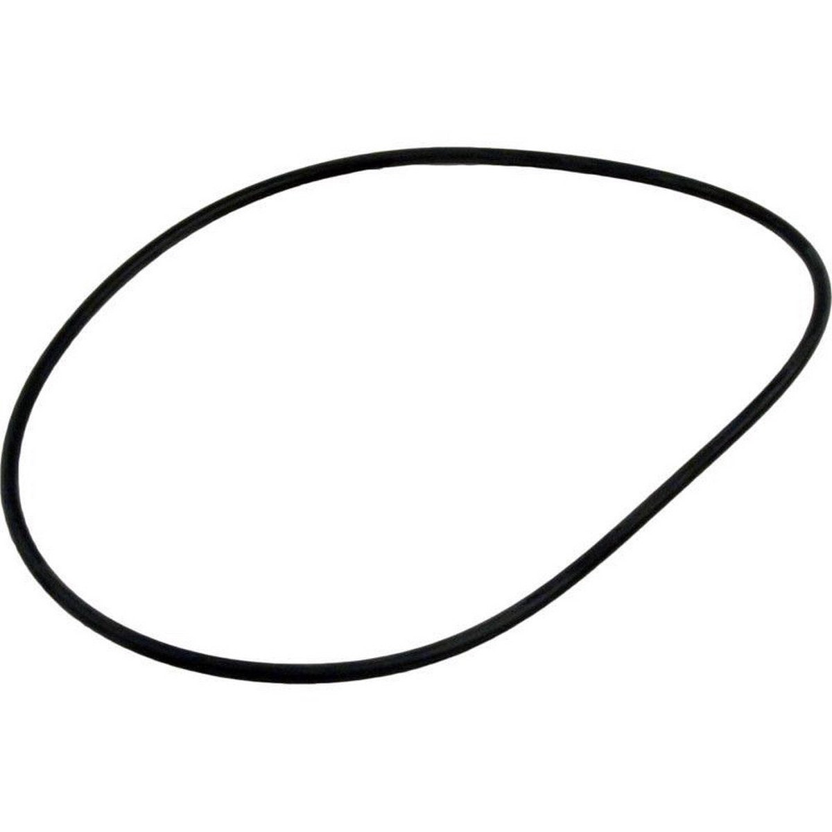 Waterway Lid O-Ring | Waterway | 805-0254 | (Fits Waterway Pool Filter Lids and Pump Lids)